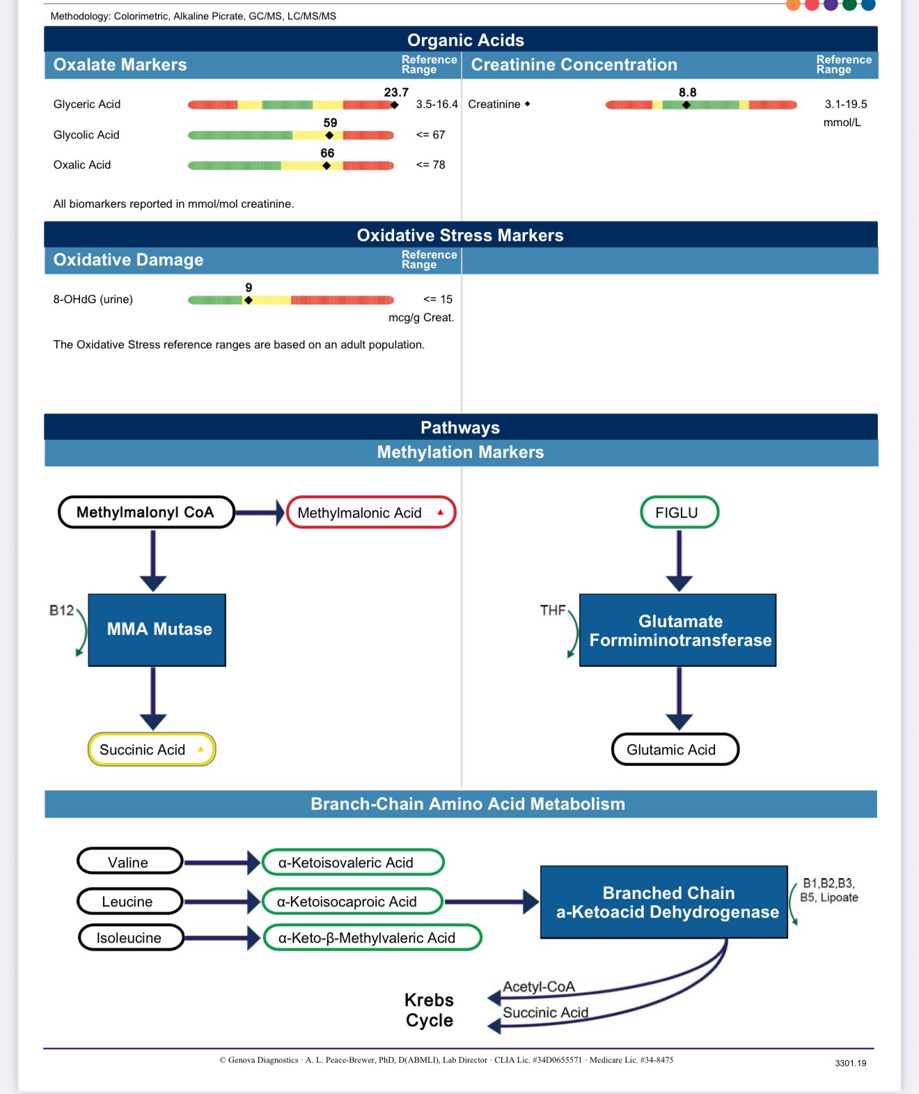 Organix (Genova OAT)